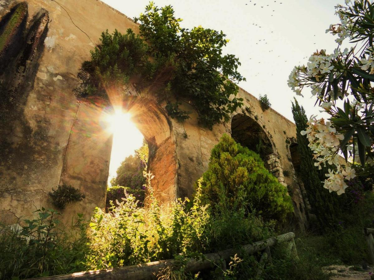 Casa Pangea Villa Vejer de la Frontera Ngoại thất bức ảnh
